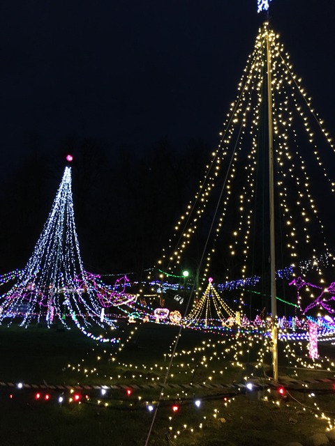 写真 2017-11-26 17 05 25