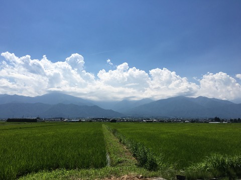 写真 2018-07-14 13 57 57