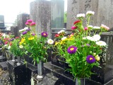 17-08-16-15-36-27-511_deco