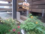 猫額の独楽吟