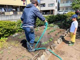IMG_6175