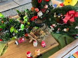 IMG_1955