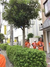 IMG_0117