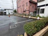 IMG_1182