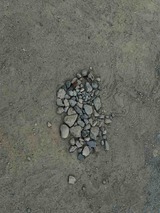 IMG_0500