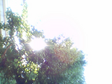 4c02338a.bmp
