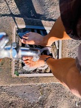 IMG_8593