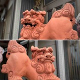 IMG_1389