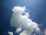 CA3I0008