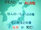 01 (04)