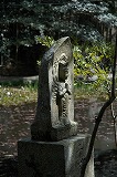c5b3d620.jpg