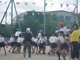 IMGP2368