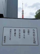 IMG_1675