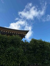 IMG_4654