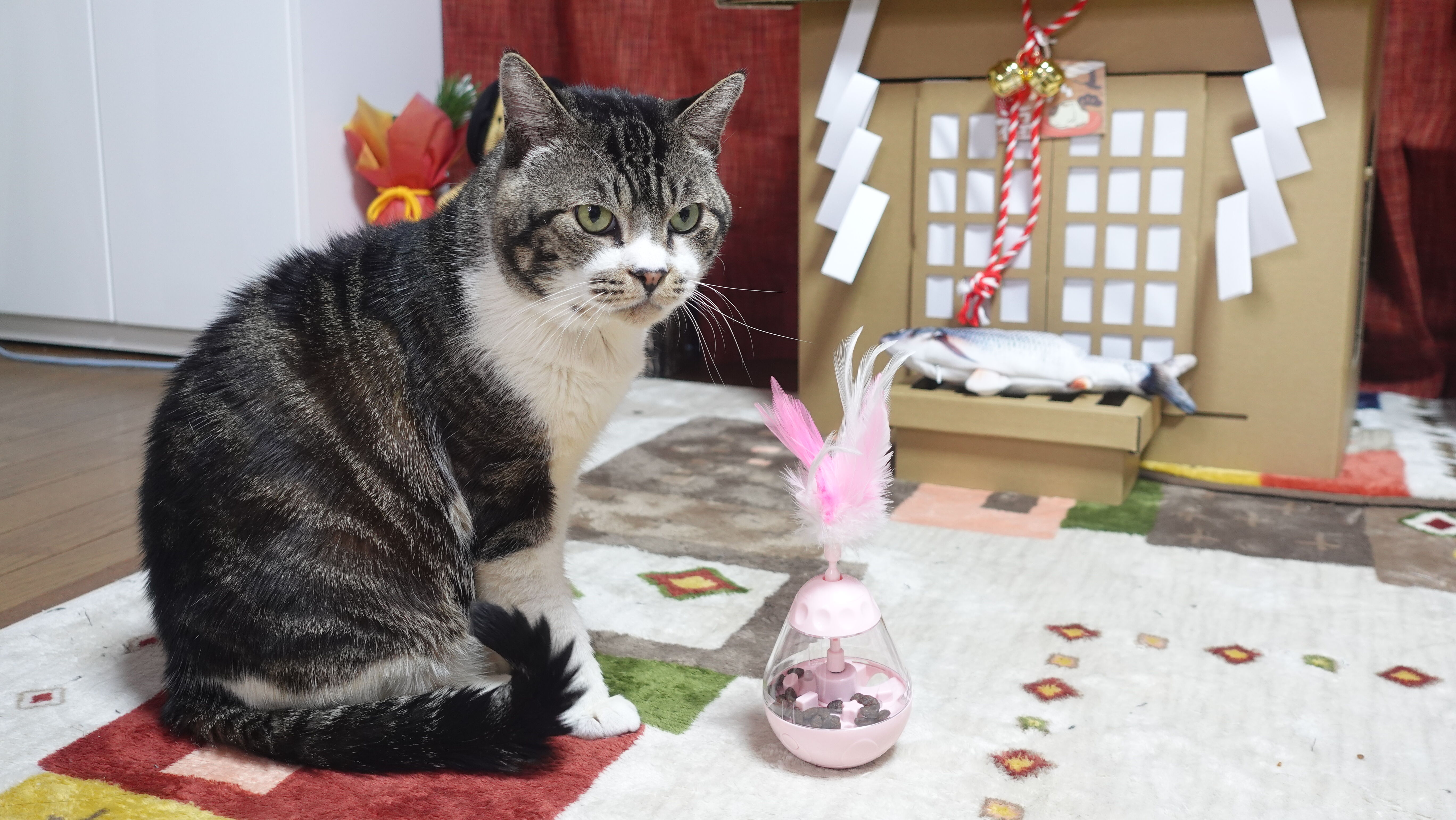 猫パンチでおやつが出てくるおもちゃか ピカピカゆらくるパンチ リキちゃんねるブログ 猫とおいしいもの