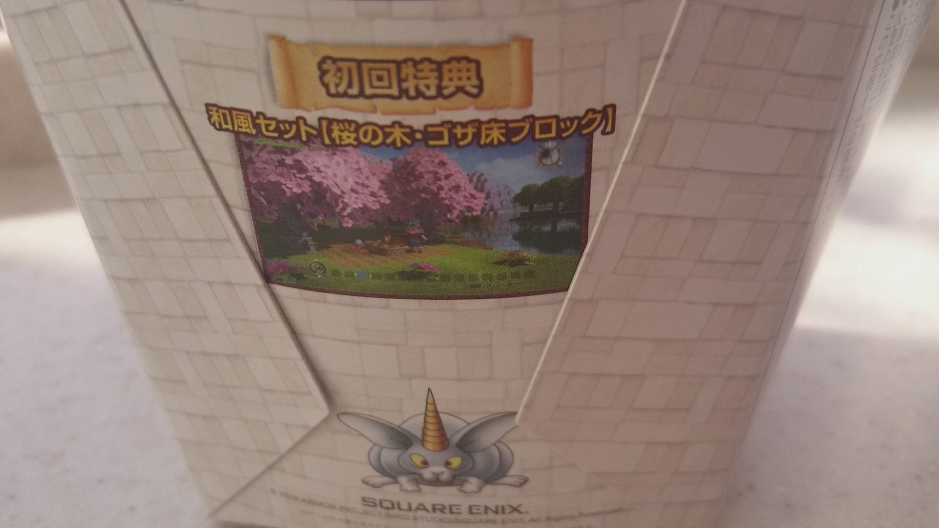 イメージ 6