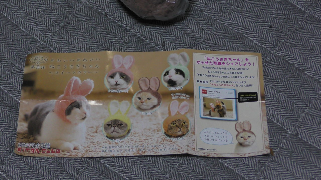 かわいいねこうさぎちゃん キジトラのリキちゃんが茶色いうさぎさん ピーターラビット 風に変身 ねこの被り物シリーズ リキちゃんねるブログ 猫とおいしいもの かわいいねこうさぎちゃん キジトラのリキちゃんが茶色いうさぎさん ピーターラビット 風に変身 ねこの被り物シリーズ リキちゃんねるブログ 猫とおいしいもの