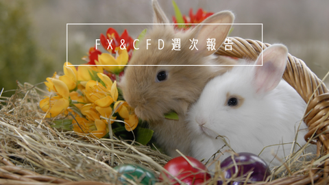 FX&CFD週次報告20210104