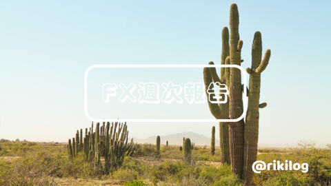 FX週次報告20230828