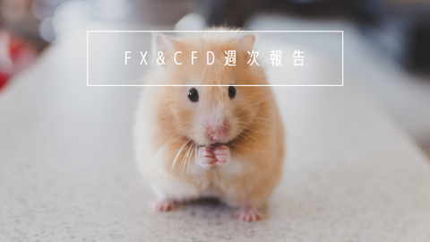 FX&CFD週次報告20210208
