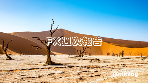 FX週次報告20230821