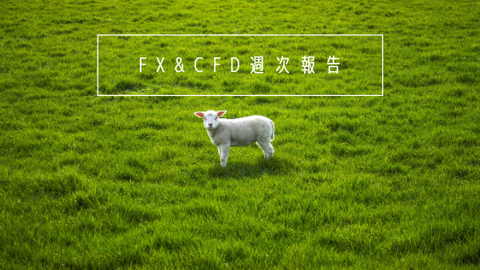 FX&CFD週次報告20210118