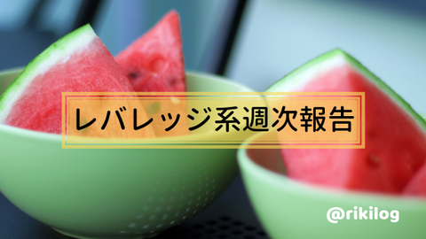 レバレッジ系週次報告20190819