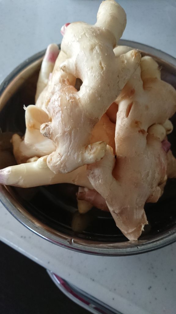リキコさん家のおだいどこ 新生姜の佃煮 リキコさん家のおだいどこ 新生姜の佃煮