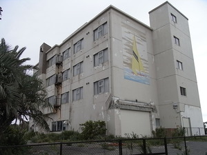 RIMG1982