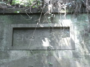 RIMG3767