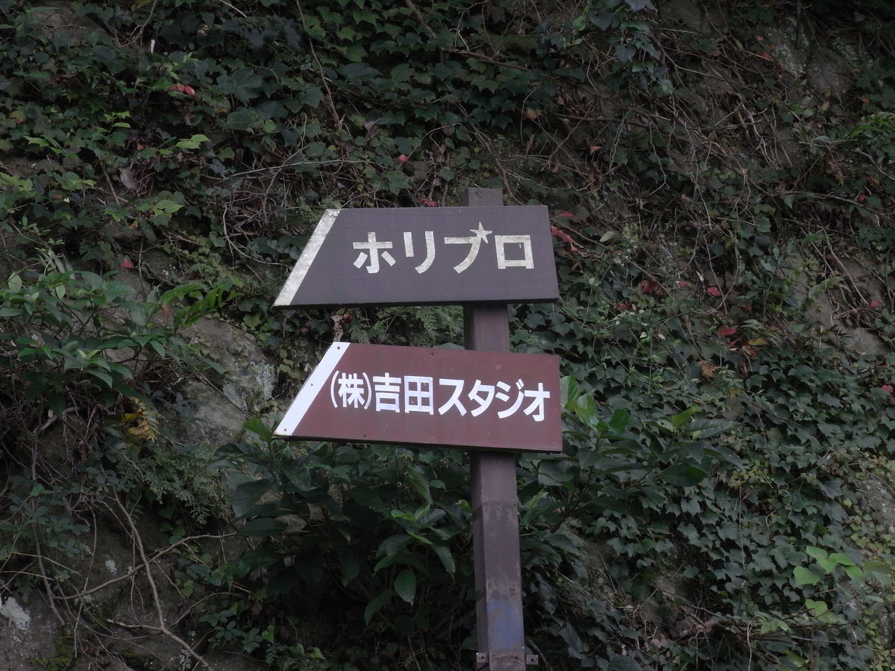 ホリプロ熱海研修センター下廃テニスコート fp渡辺のちょっといいはなし ホリプロ熱海研修センター下廃テニスコート fp渡辺のちょっといいはなし