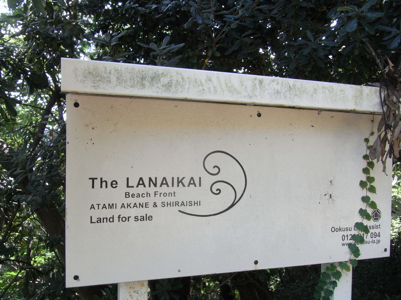 ｔｈｅ ｌａｎａｉｋａｉ 割烹白石 ｆｐ渡辺のちょっといいはなし