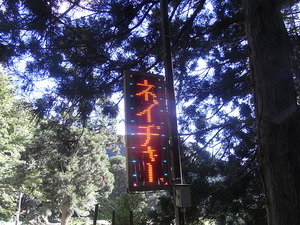 RIMG3744