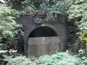 RIMG3786