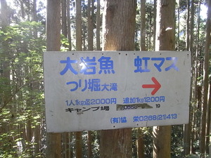 RIMG3747