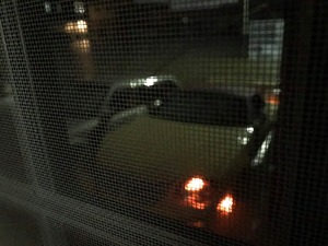 72446544_2396208007156719_3280468880786456576_n