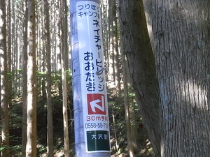 RIMG3749