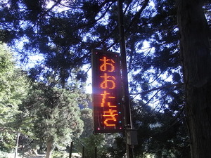RIMG3746