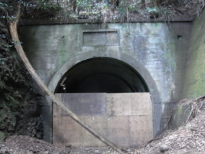 RIMG3765