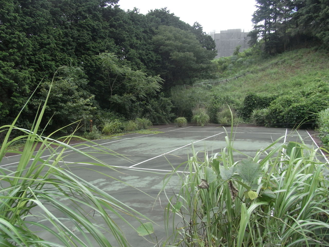 ホリプロ熱海研修センター下廃テニスコート fp渡辺のちょっといいはなし ホリプロ熱海研修センター下廃テニスコート fp渡辺のちょっといいはなし