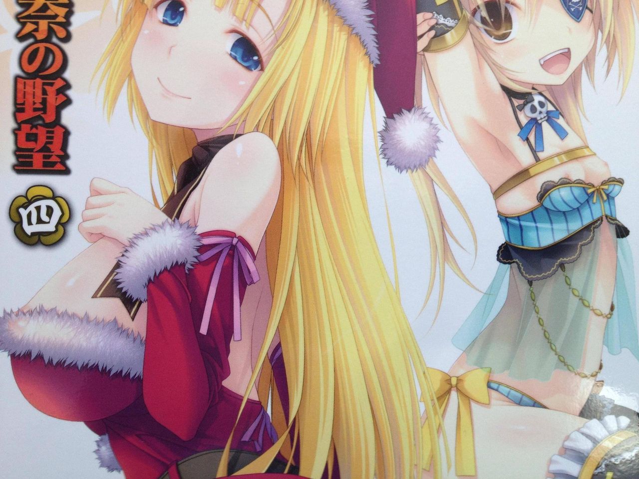 雑記 織田信奈の野望 4巻 外伝 日々心変わり