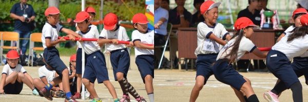 今日は秋季運動会でした りことねことクラフトとのblog