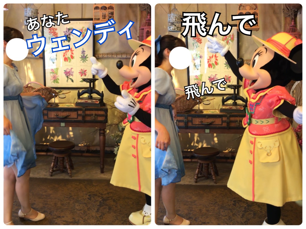 失敗 事前打ち合わせ動画 大量の妖精の粉と飛べない私とミニー ディズニー宝箱