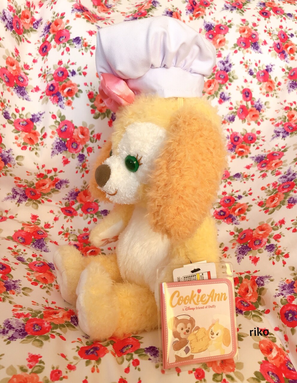 流行中にて購入☆初登場のクッキー・アン☆ディズニーシー