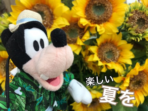1C1DC651-30DF-40BB-8EAB-3420BF5ACD50