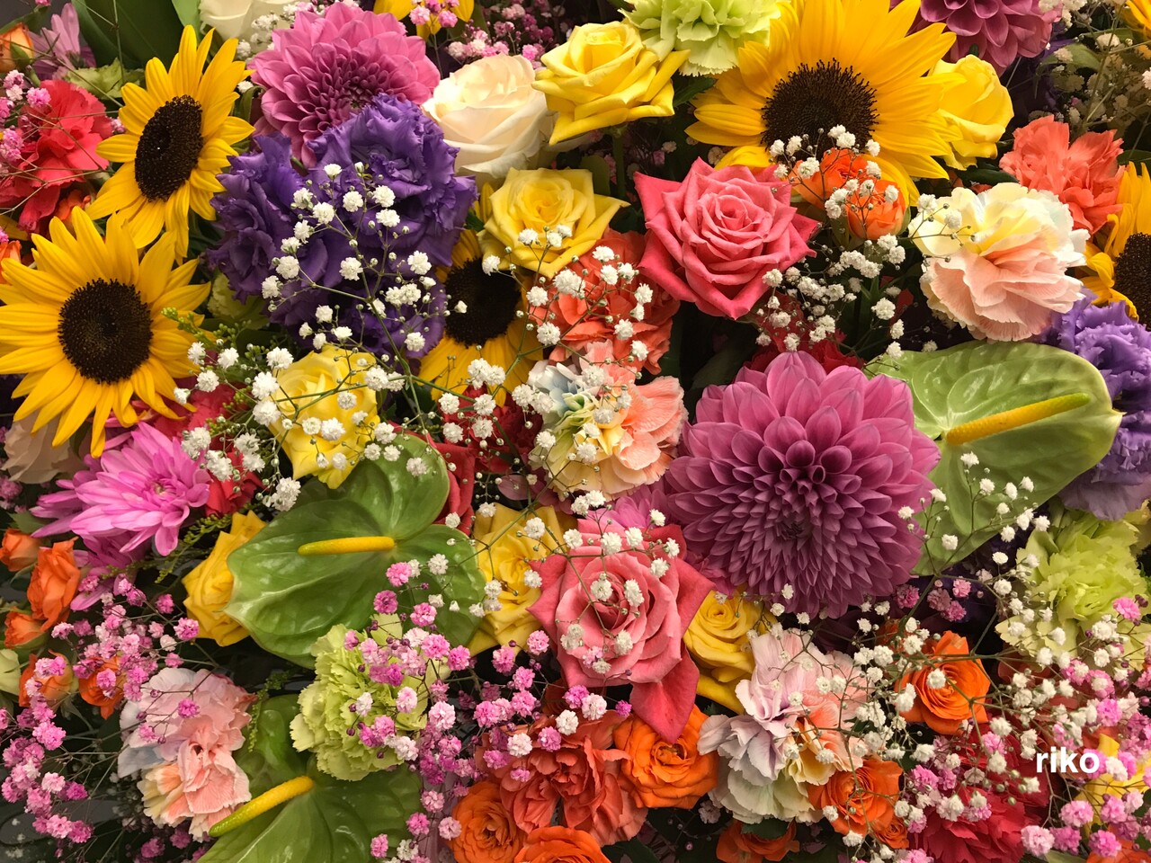 更新出来ずすみません ご心配かけてすみません 私は元気です ディズニー宝箱 更新出来ずすみません ご心配かけてすみません 私は元気です ディズニー宝箱