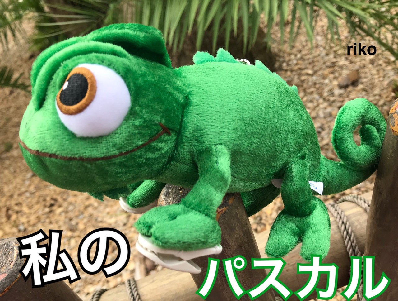 新商品 待望 売り切れ前にチェックを 肩乗せぬいぐるみ ディズニー宝箱 新商品 待望 売り切れ前にチェックを 肩乗せぬいぐるみ ディズニー宝箱