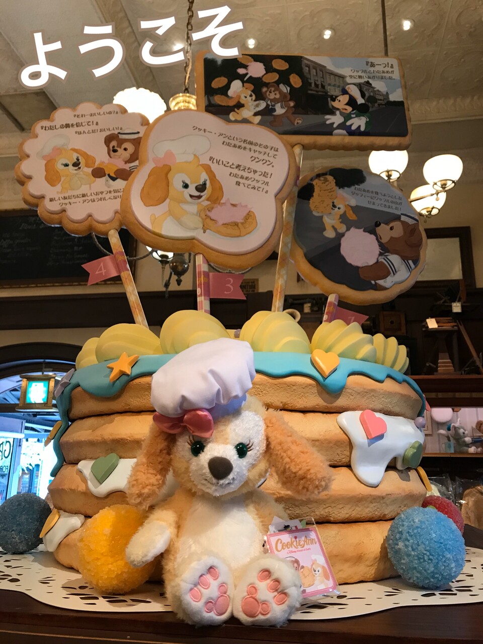 新商品☆個体差を強く感じた新しいお友達☆クッキー・アン