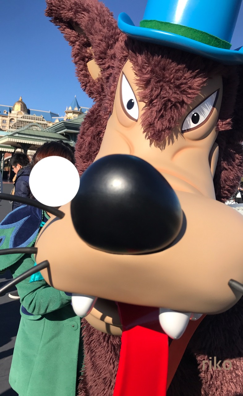 初めてのご挨拶☆大興奮のなんだか可愛いビッグバッドウルフ