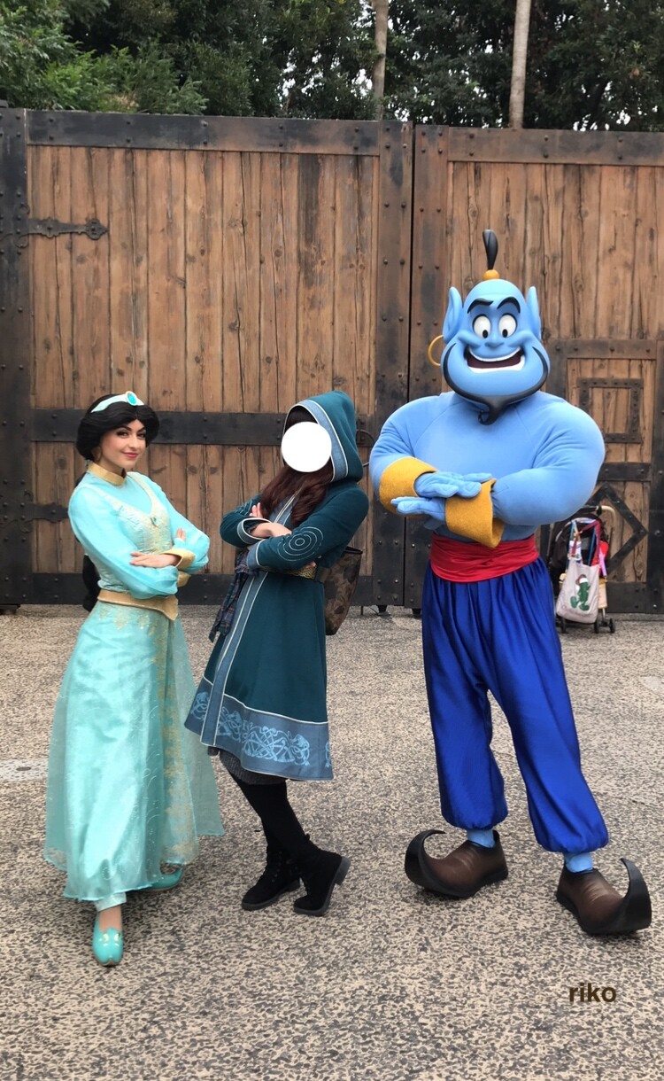 宮殿から抜け出して 魅惑のアラビアンコーストで整列グリ ディズニー宝箱